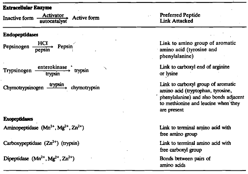 1191_Proteases of animals.png